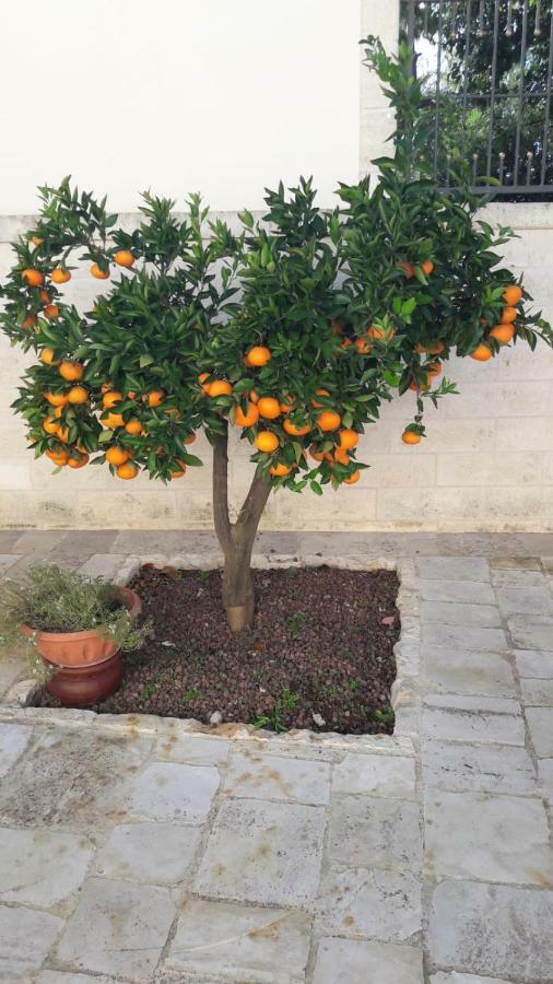 B&B Il Mulino Del Monastero Conversano Eksteriør bilde